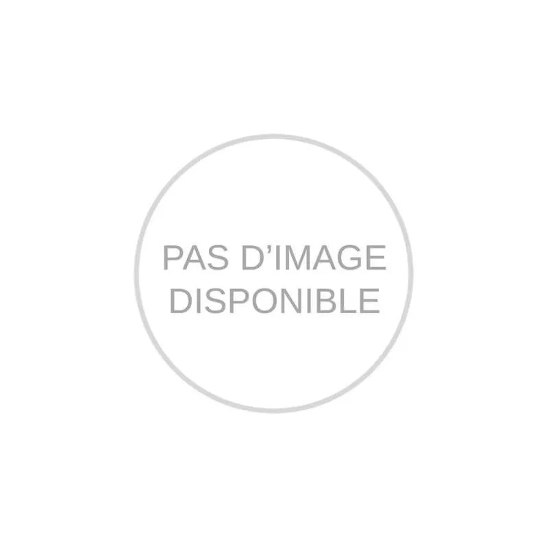 Filtre à charbon