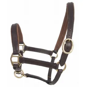 Licol foal en cuir T de T pour cheval