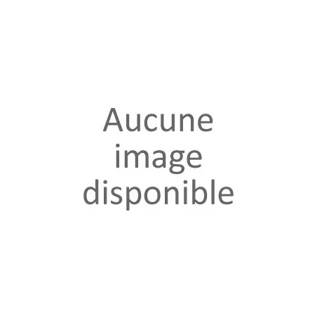 Sandales femme coloris bleu (36-41)